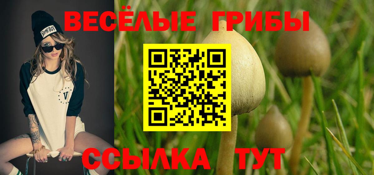 Галлюциногенные грибы прущие грибы  Псилоцибиновые грибы MAGIC MUSHROOMS  Черняховск  Вход с VPN 