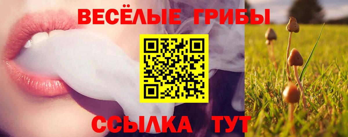 Псилоцибиновые грибы Magic Shrooms Черняховск